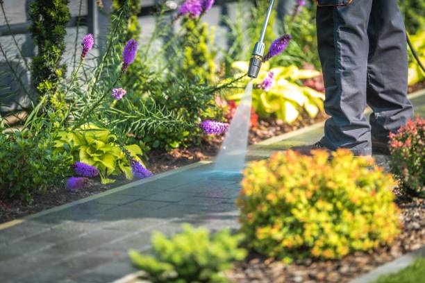 Best Post-Construction Pressure Washing  in Wrightsville, GA