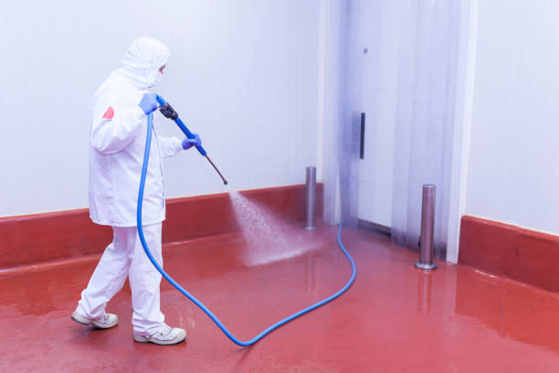 Best Roof Washing  in Wrightsville, GA